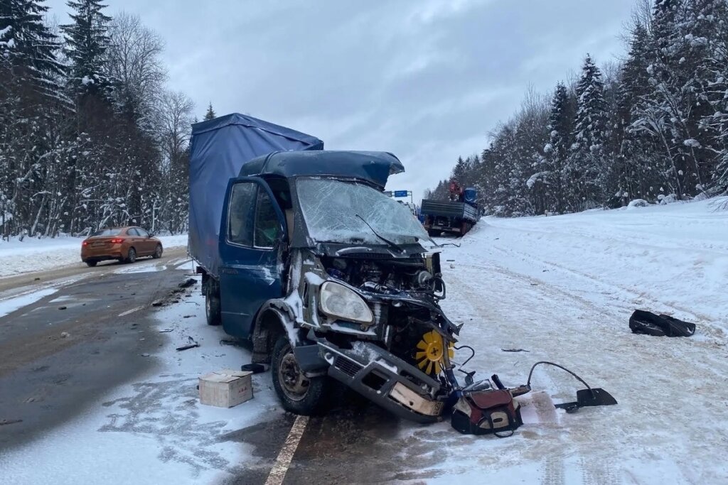 70-летний водитель &amp;#171;Газели&amp;#187; погиб в ДТП на трассе М-8