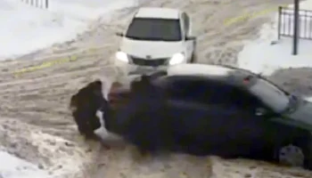  &laquo;Нет оснований для привлечения водителя&raquo;: в Чебоксарах водитель сбил ребенка-инвалида и скрылся 