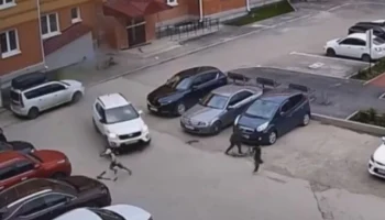  В Челябинской области пьяные мужчина и женщина за рулем устроили погром во дворе