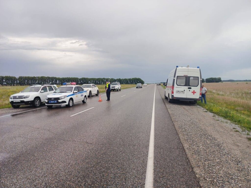 Kia и Honda лоб в лоб столкнулись на алтайской трассе: погибли 6 человек