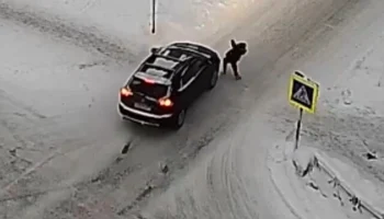  В Апатитах под колеса иномарки попал ребенок