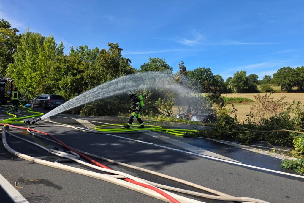 В Германии водитель и двое детей погибли в &amp;#171;Тесле&amp;#187; из-за заблокированных ручек дверей
