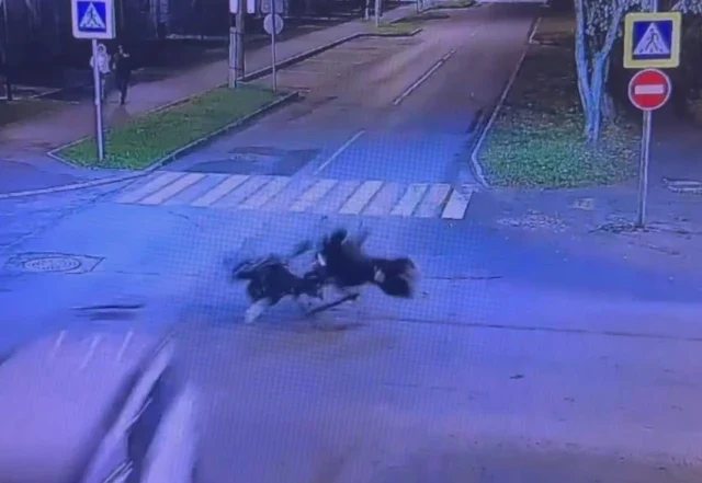  В Сыктывкаре водитель электровелосипеда пытался проскочить перекресток на красный и оказался в б