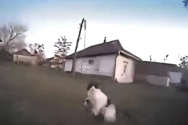  Кот лапой сбил украинский беспилотник, в результате чего тот врезался в столб