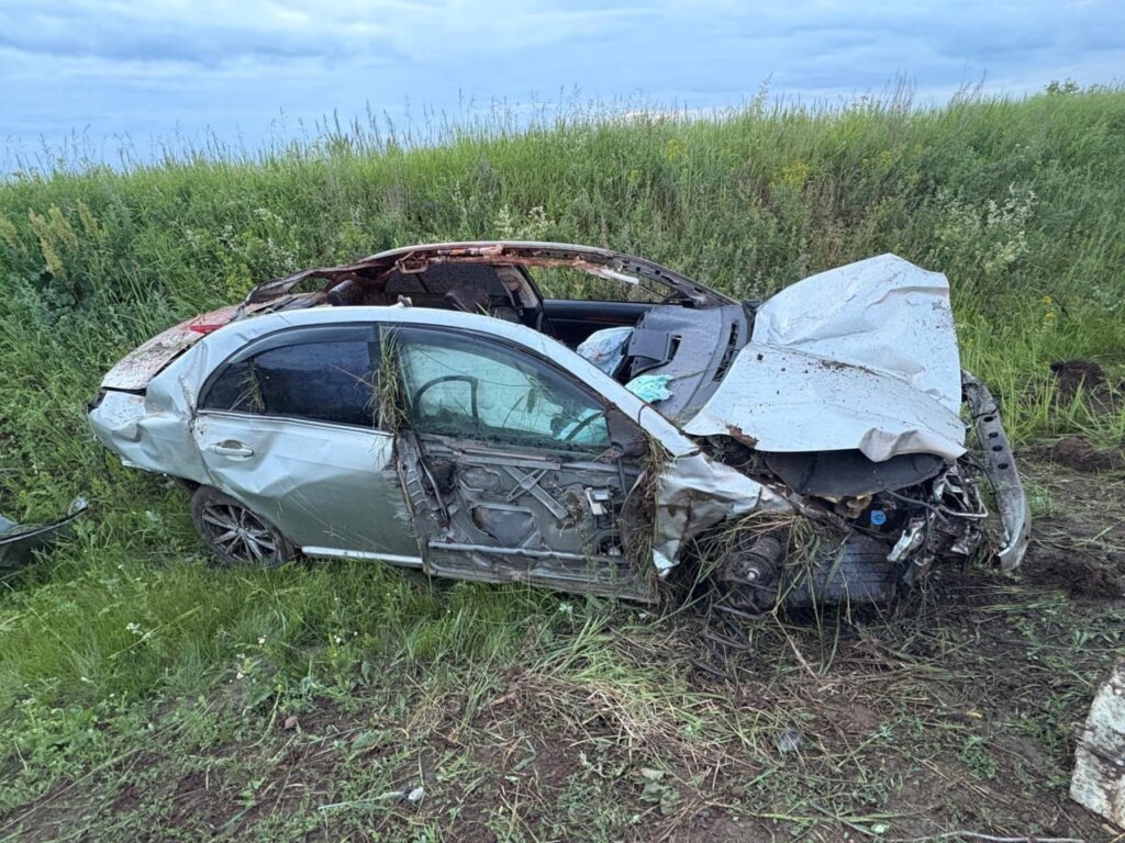 Toyota сбила лося на трассе в Удмуртии