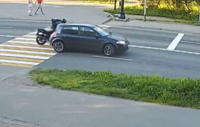  В Мурманске кот пытался перейти дорогу и спровоцировал ДТП