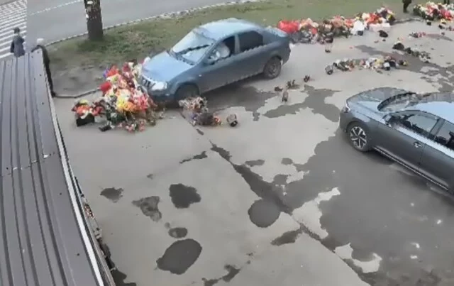  Отомстила конкурентам? В Костроме женщина переехала вазоны с цветами