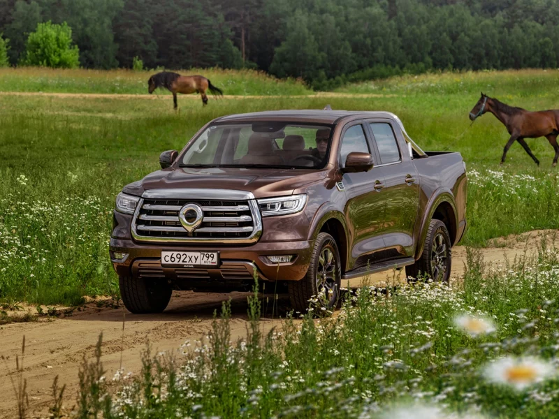 Самым популярным новым дизельным автомобилем в 2024 году стал Great Wall Poer